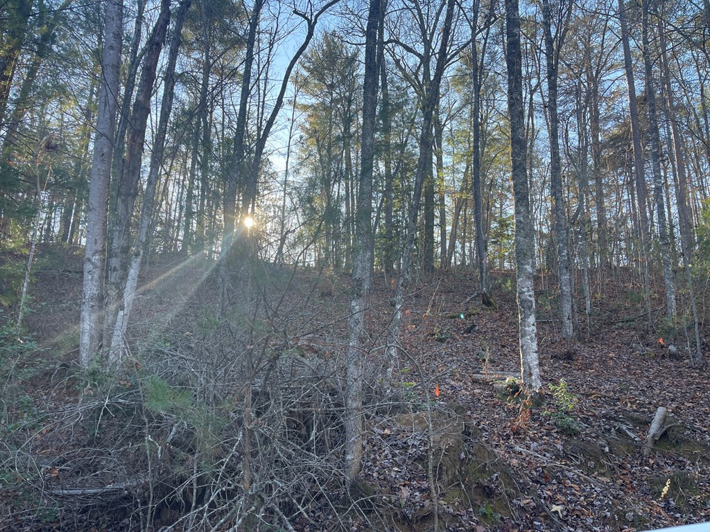 0 Laurel Branch Road Murphy, NC 28906 - Photo 6 of 8
