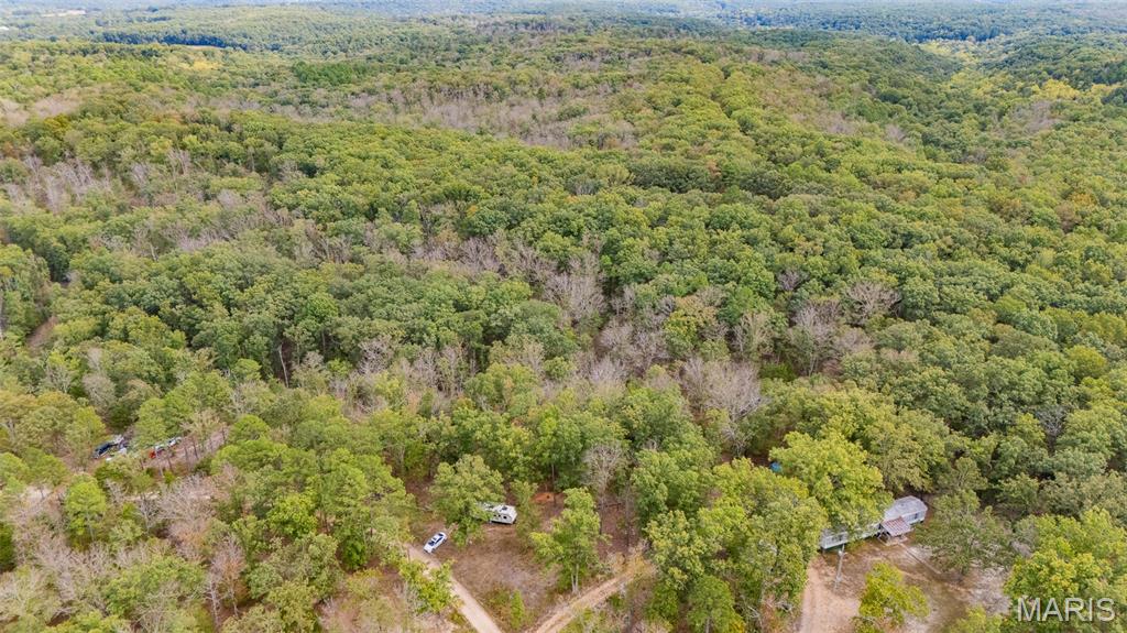 0 State Rte T Newburg, MO 65550 - Photo 9 of 15 Gallery Image 9