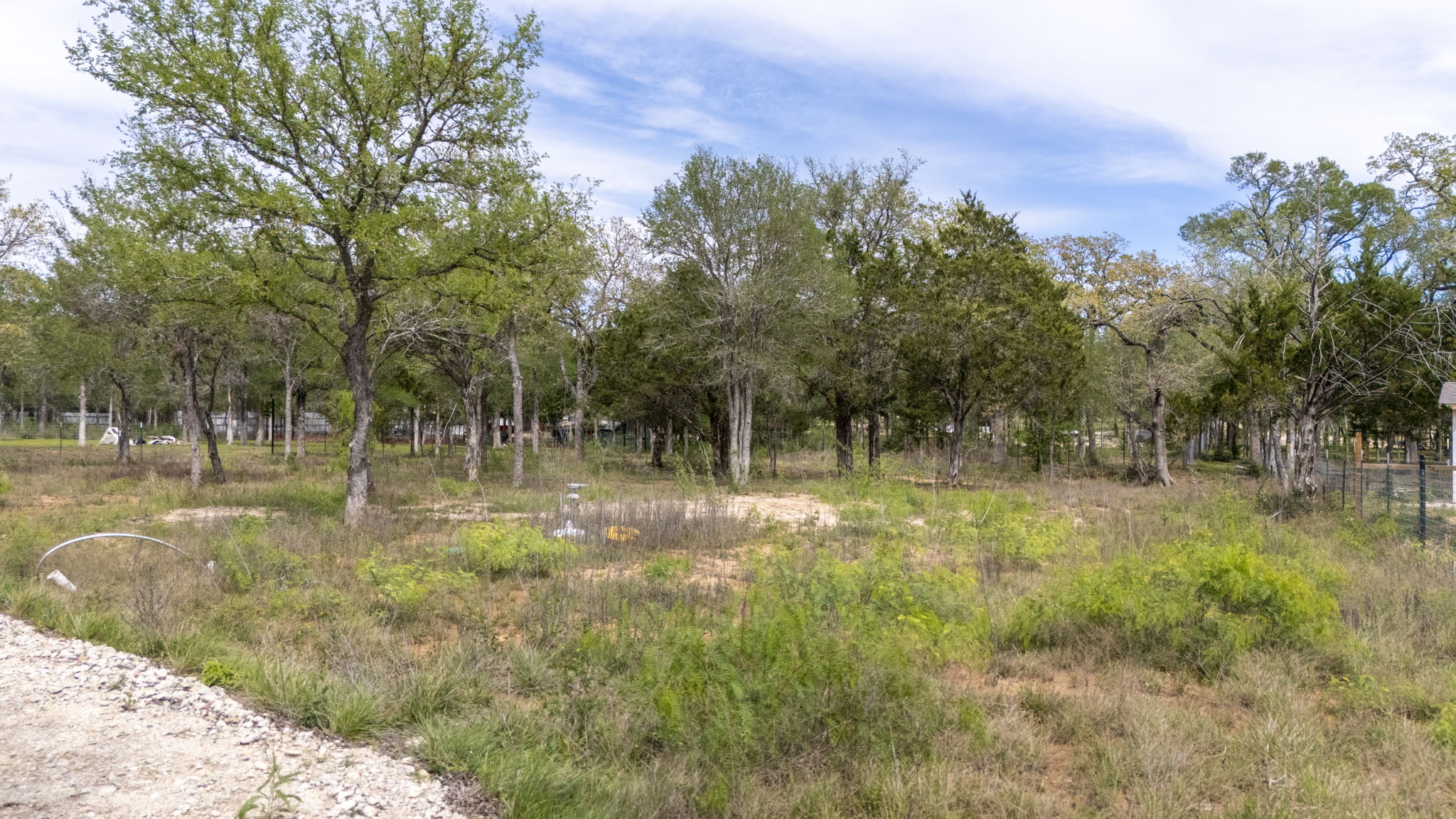 171 Comancheria Trail Elgin, TX 78621 - Photo 22 of 24 View of undeveloped land