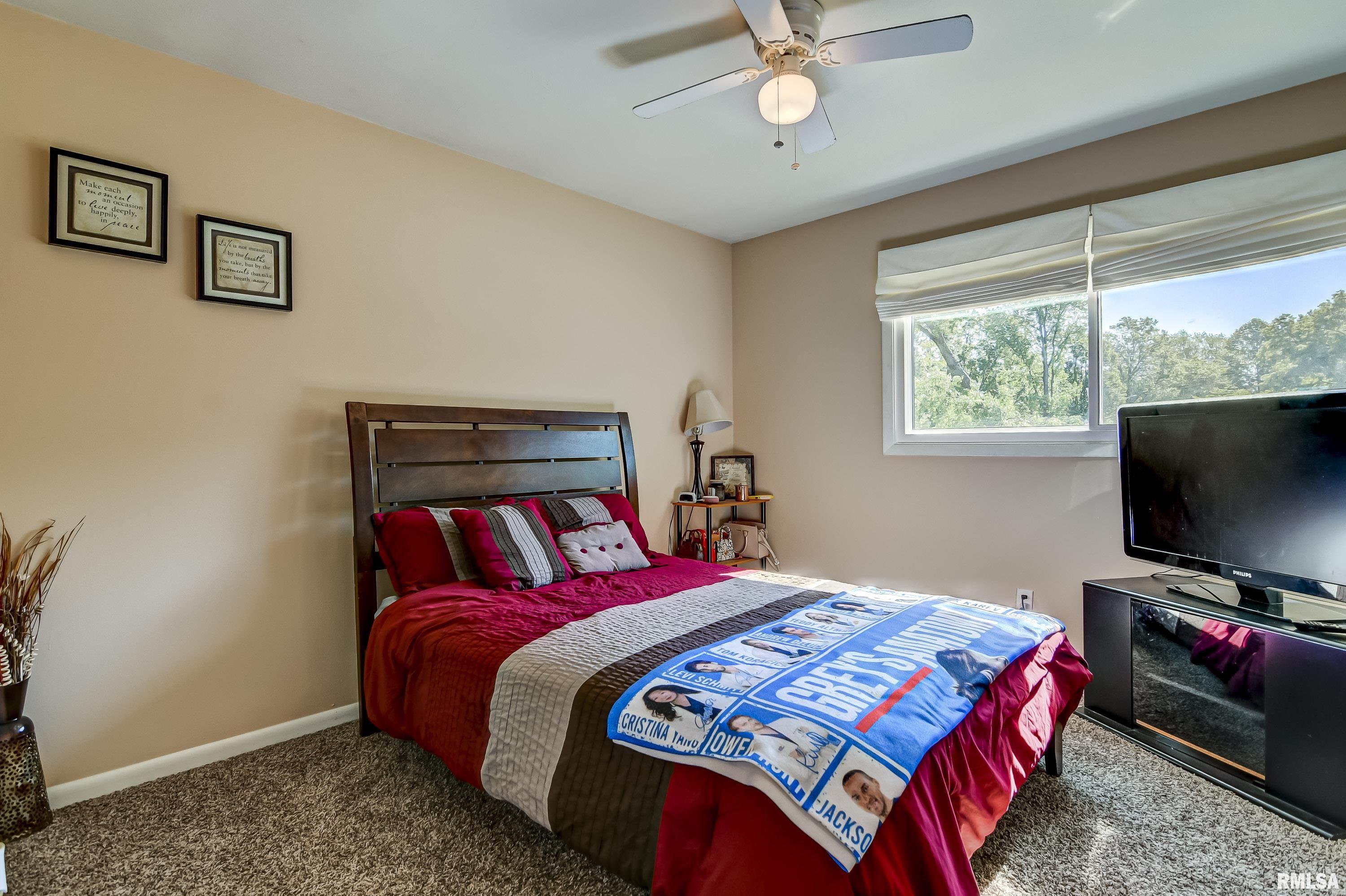 131 Dickinson Road Springfield, IL 62704 - Photo 29 of 39