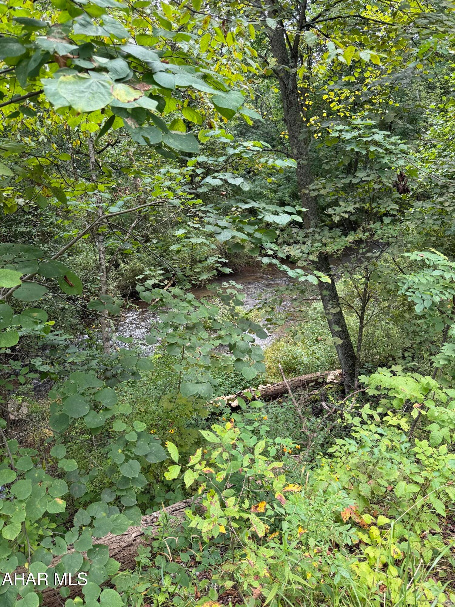 1094 Wertz Road Williamsburg, PA 16693 - Photo 14 of 15 Gallery Image 14