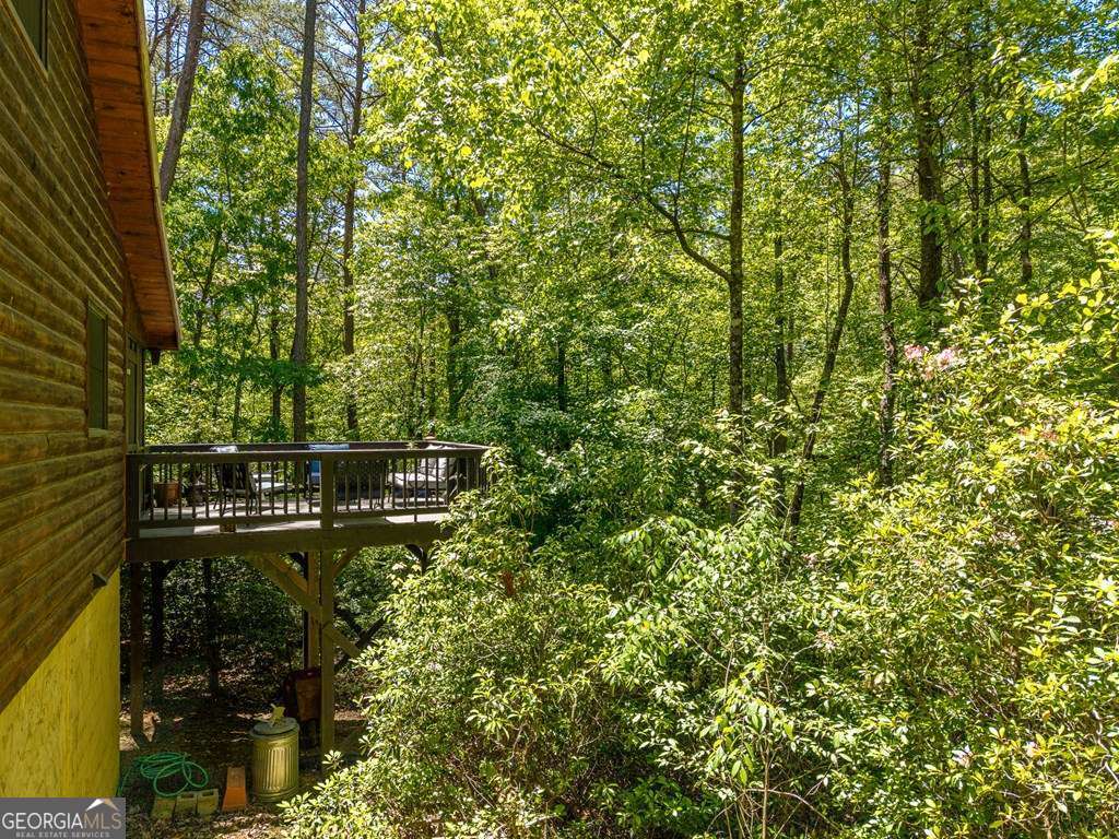 259 The Woods Road, Unit 33 Mineral Bluff, GA 30559 - Photo 48 of 54