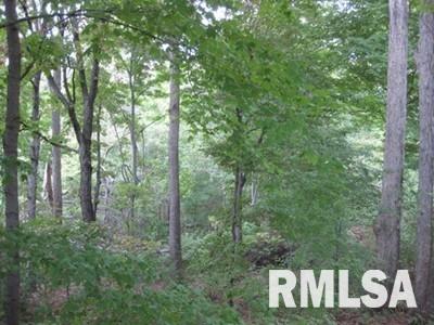 0 King Hill Road Murphysboro, IL 62966 - Photo 1 of 1 Gallery Image 1