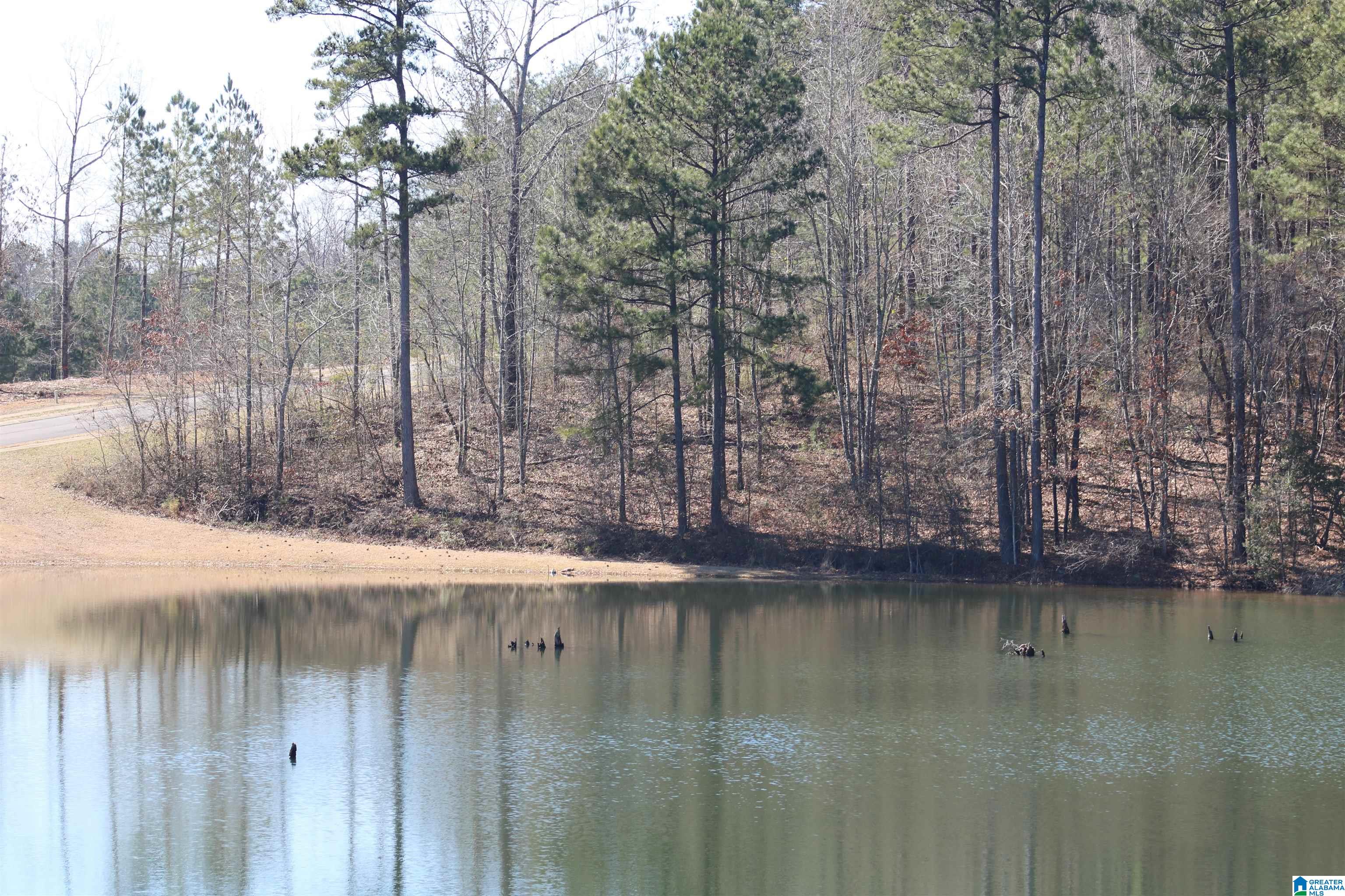 51 Bells Lane, Unit 51 Springville, AL 35146 - Photo 3 of 9