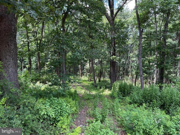 79 Cabin Road Augusta, WV 26704 - Photo 2 of 5