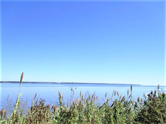 603 Santee Drive Santee, SC 29142 - Photo 50 of 51 Santee Cooper Resort, Big Water Views