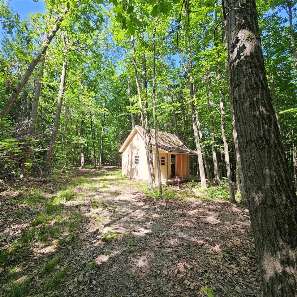 1 Mowatt Road North Branch, MI 48461 - Photo 7 of 23