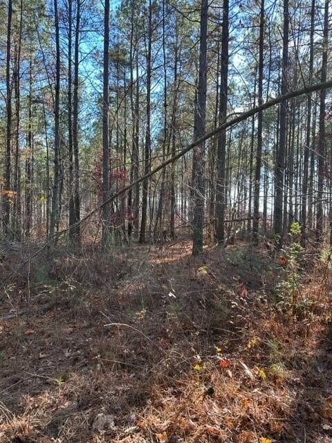 7 Fredonia Road Dunlap, TN 37327 - Photo 2 of 6 Fredonia Lot 7a