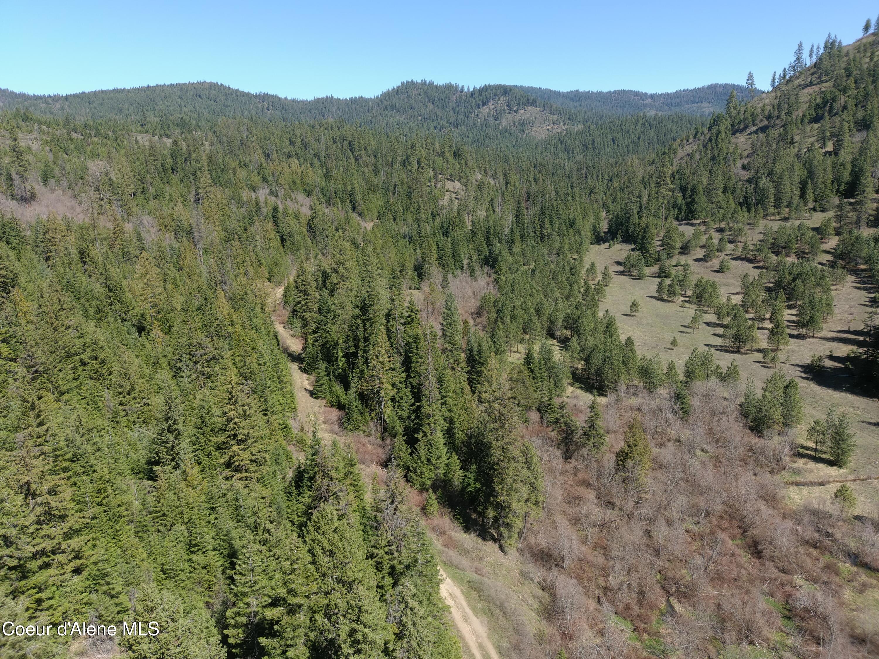 Carlin Creek Road, Unit 256 Harrison, ID 83833 - Photo 30 of 31 MAX_0040