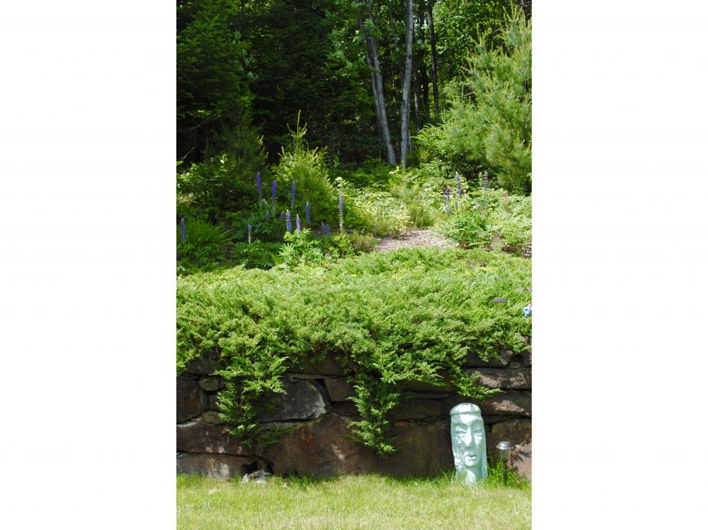 1865 Shadow Lake Road Waterford, VT 05819 - Photo 29 of 34