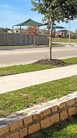 a view of a yard and car parked