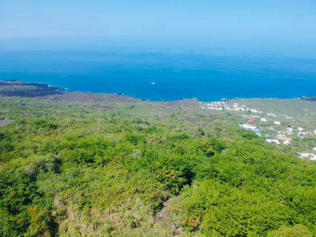 a view of a large yard