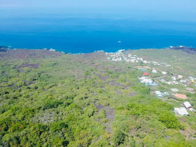 a view of a large ocean with lots of palm trees