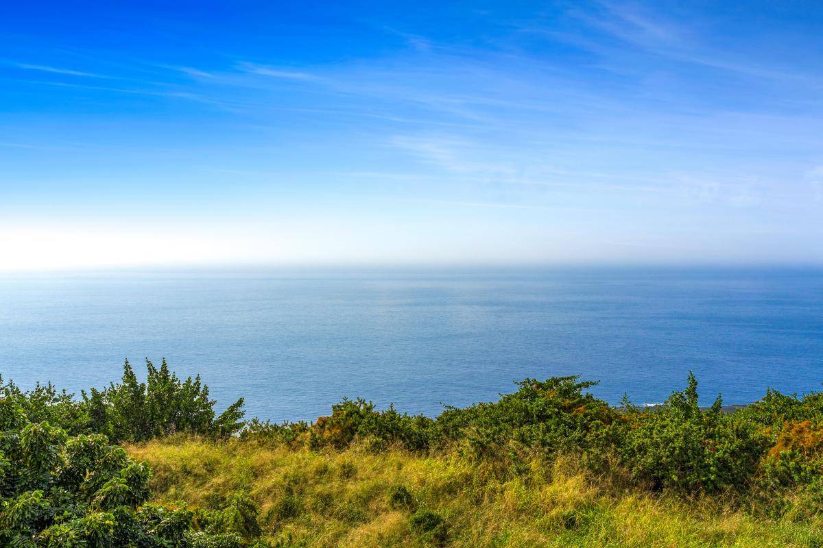 87-3143 Hawaiʻi Belt Road Captain Cook, HI 96704 - Photo 15 of 20 a view of a large ocean with lots of palm trees