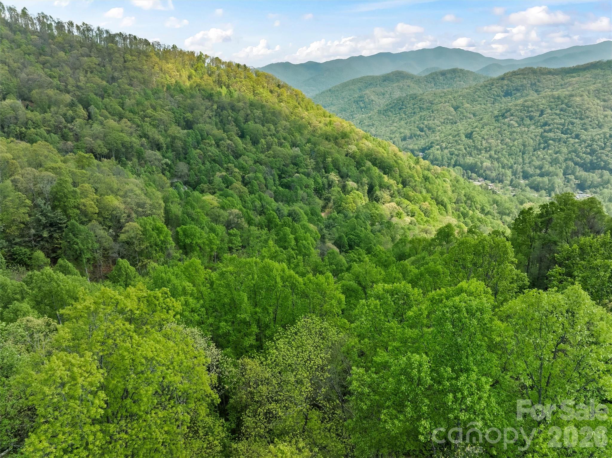 Tbd Jacks Knob Road, Unit 49 Barnardsville, NC 28709 - Photo 11 of 15 a view of a lush green forest with a mountain