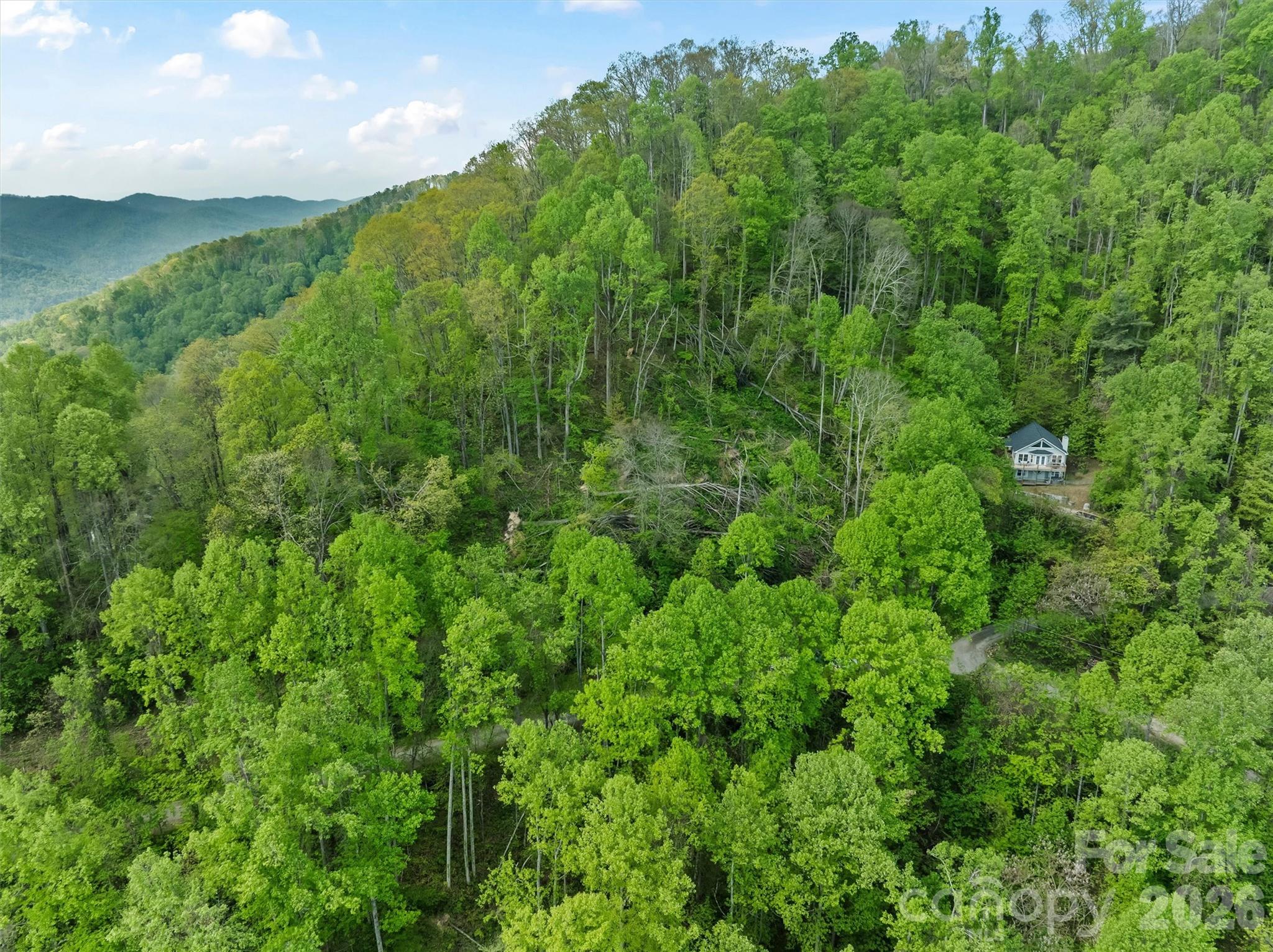 Tbd Jacks Knob Road, Unit 49 Barnardsville, NC 28709 - Photo 13 of 15 a view of a lush green forest with houses