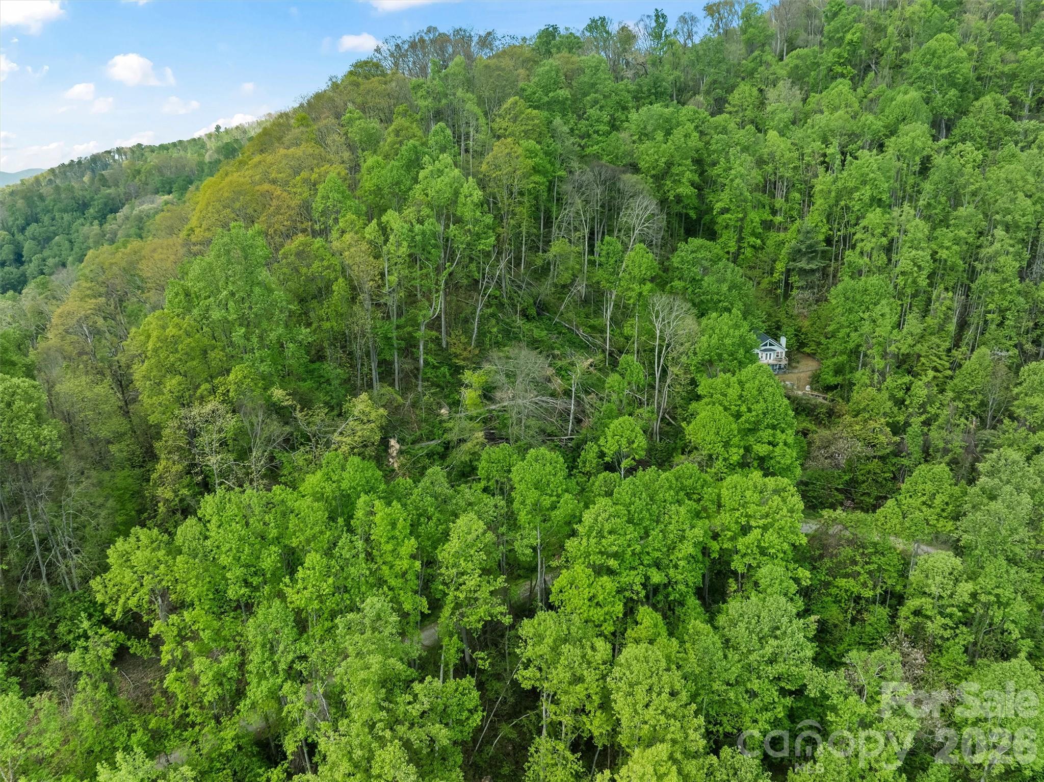 Tbd Jacks Knob Road, Unit 49 Barnardsville, NC 28709 - Photo 15 of 15 a view of a lush green forest