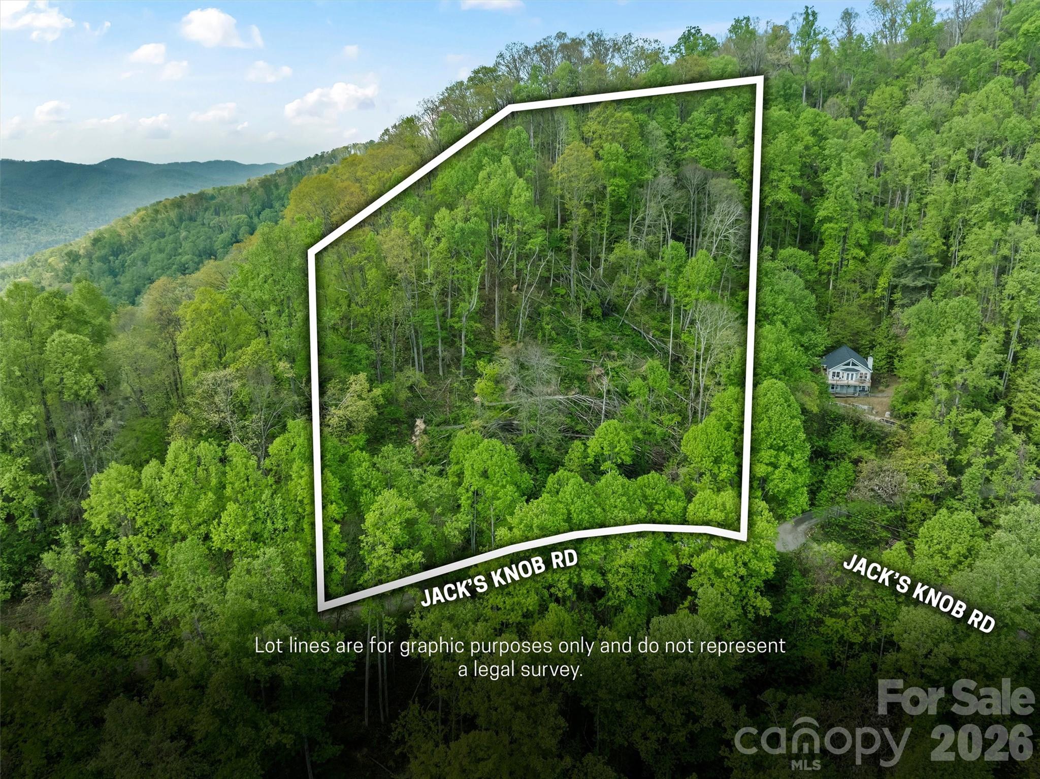 Tbd Jacks Knob Road, Unit 49 Barnardsville, NC 28709 - Photo 4 of 15