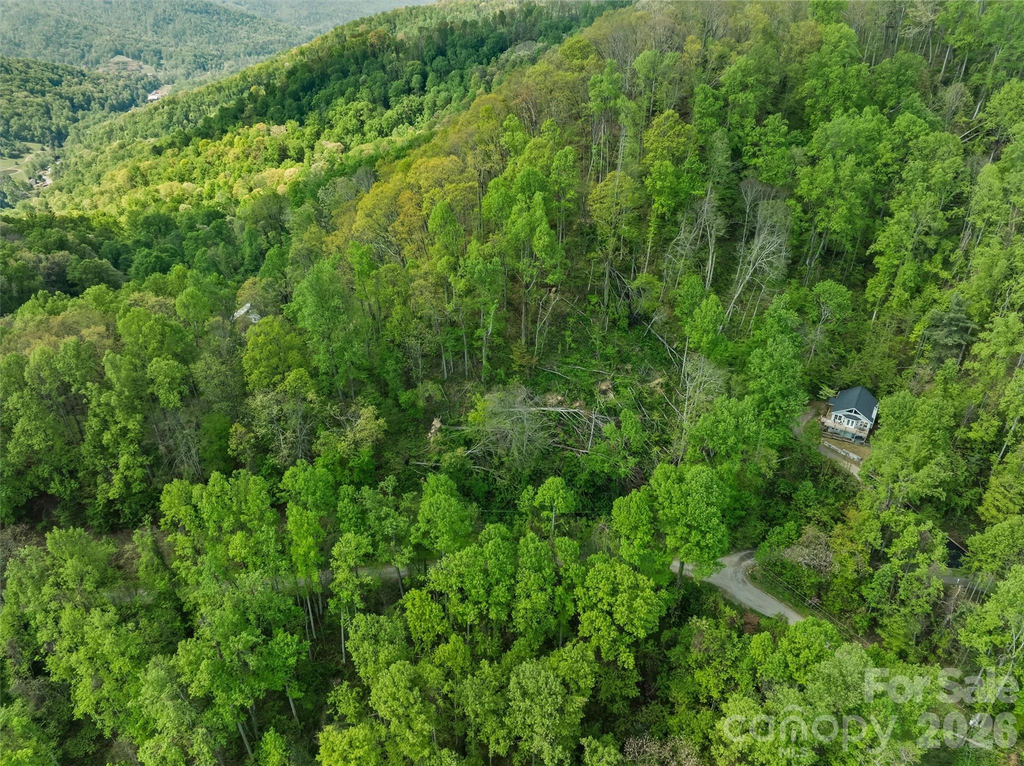 Tbd Jacks Knob Road, Unit 49 Barnardsville, NC 28709 - Photo 5 of 15 a view of a lush green forest