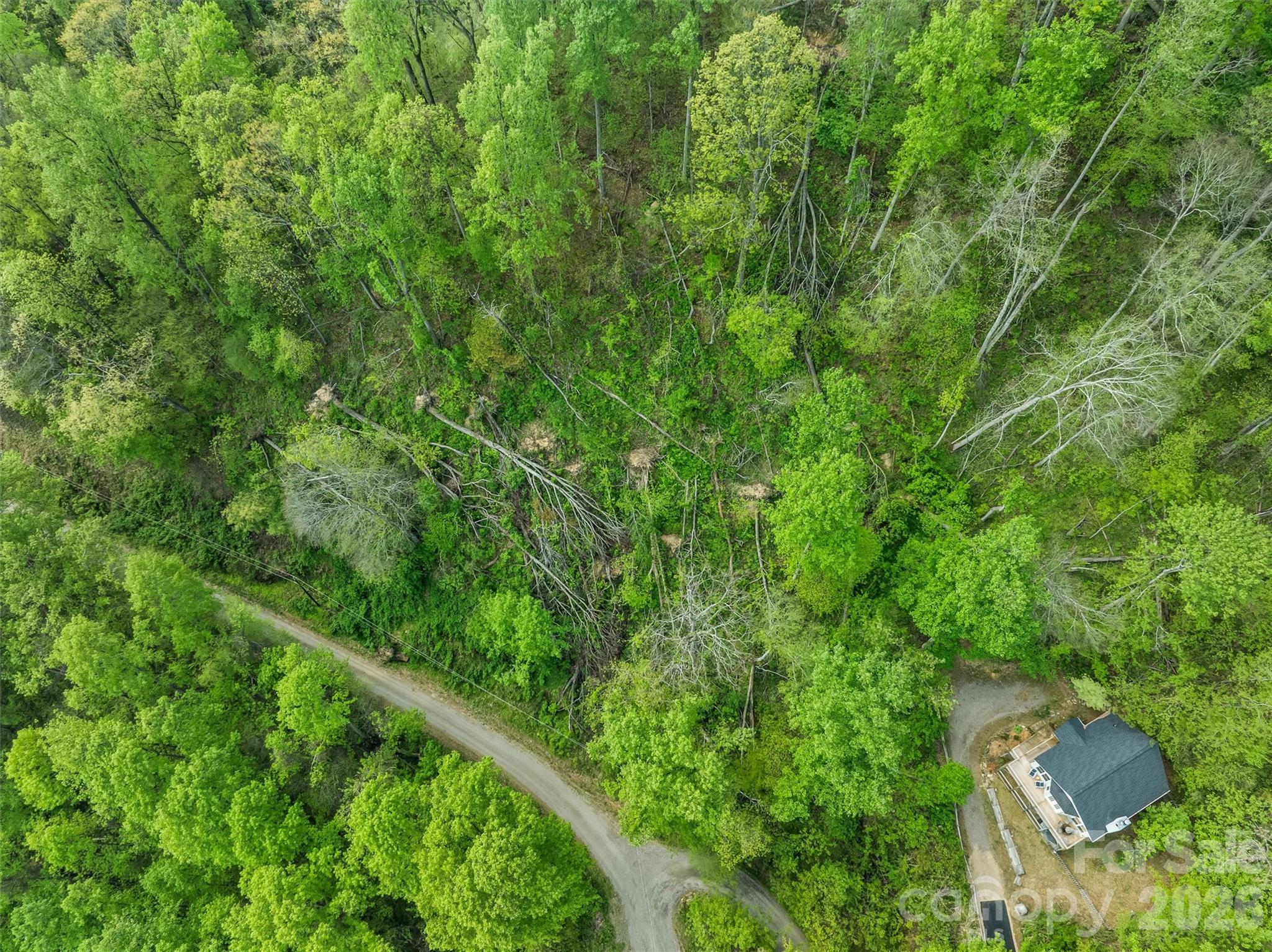 Tbd Jacks Knob Road, Unit 49 Barnardsville, NC 28709 - Photo 6 of 15 a view of a lush green forest