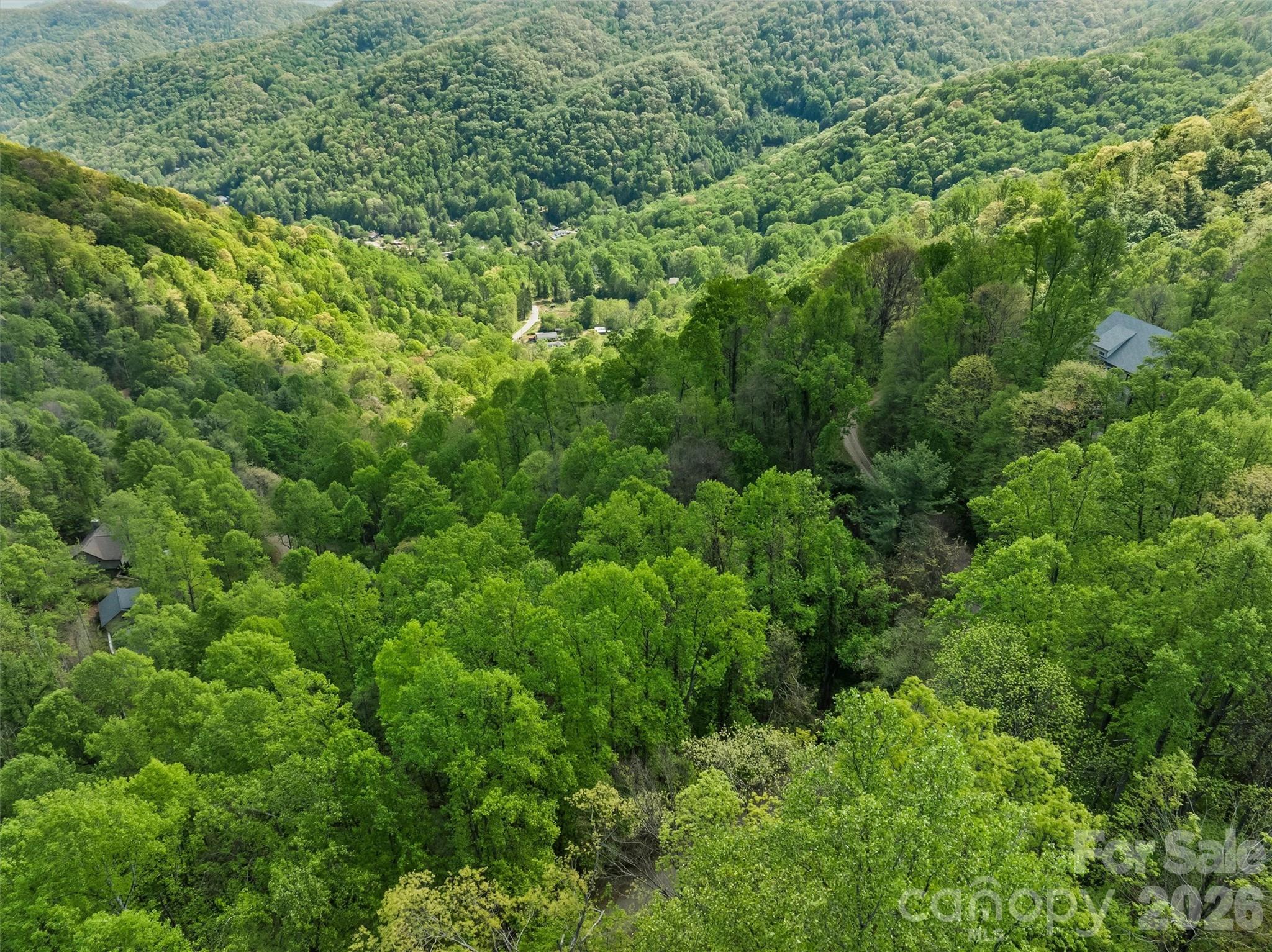 Tbd Jacks Knob Road, Unit 49 Barnardsville, NC 28709 - Photo 9 of 15 a view of a lush green forest
