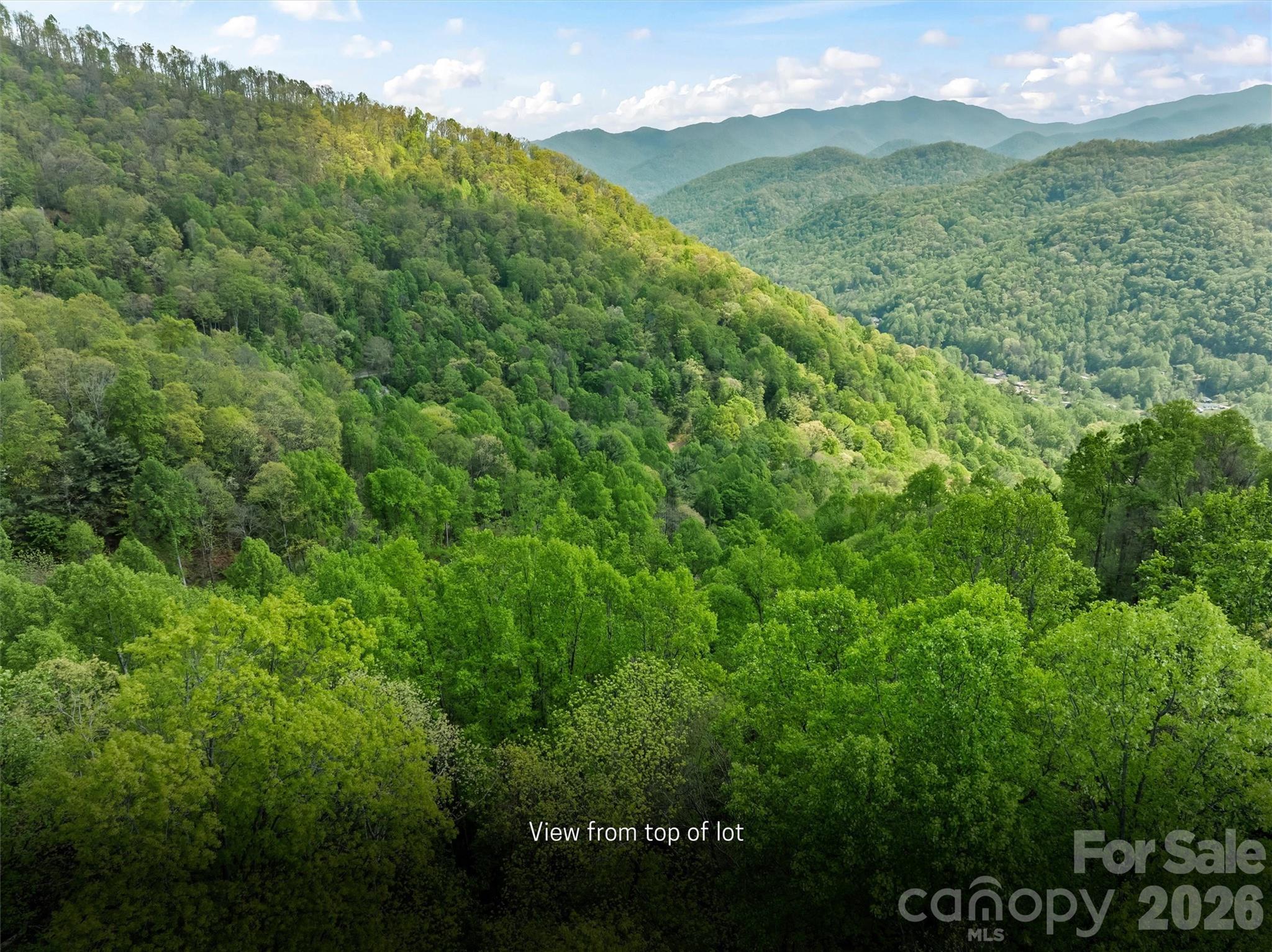 Tbd Jacks Knob Road, Unit 49 Barnardsville, NC 28709 - Photo 10 of 15 a view of a lush green forest with a mountain