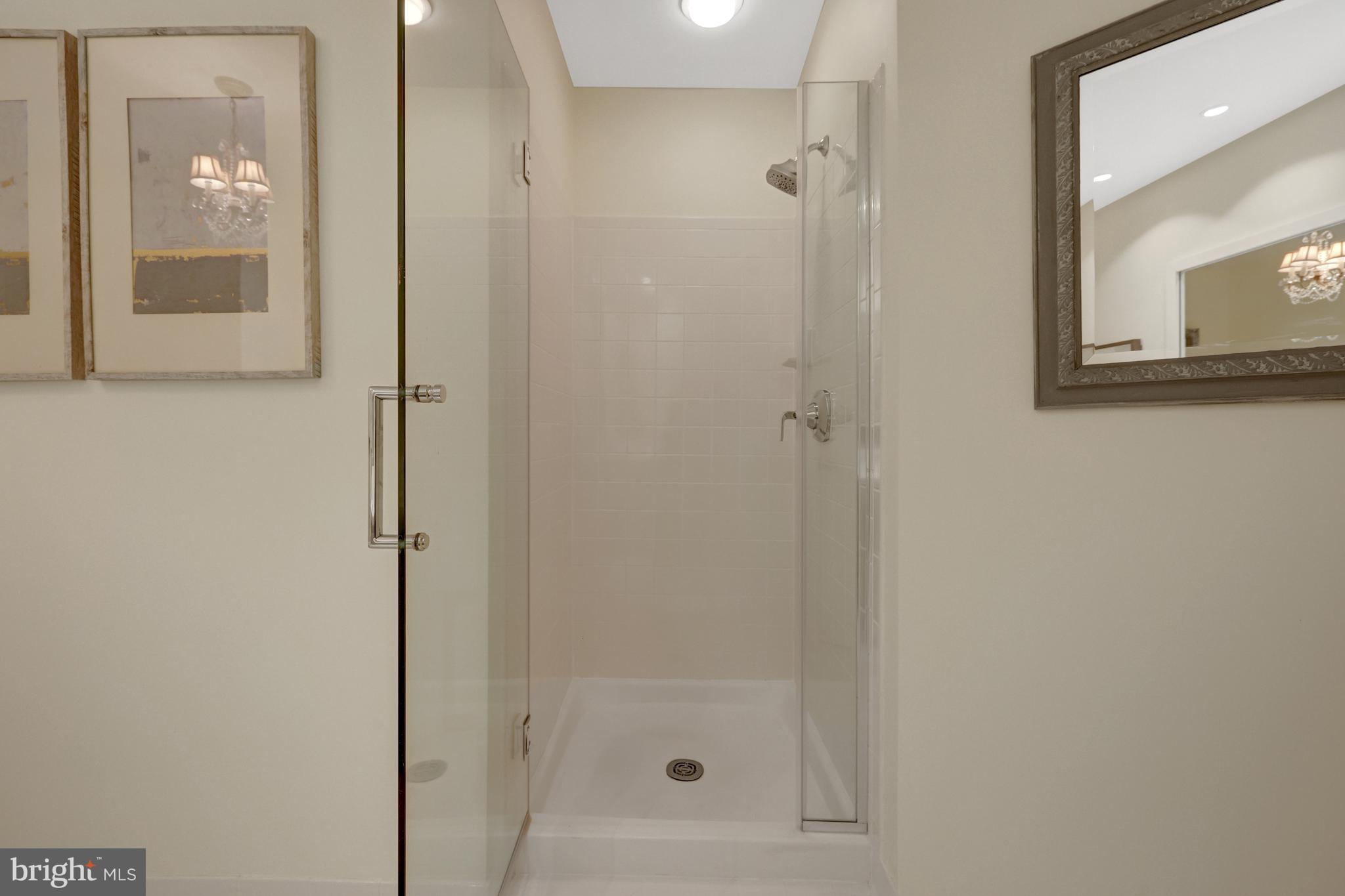 11431 Hollow Timber Way Reston, VA 20194 - Photo 29 of 53 STALL SHOWER