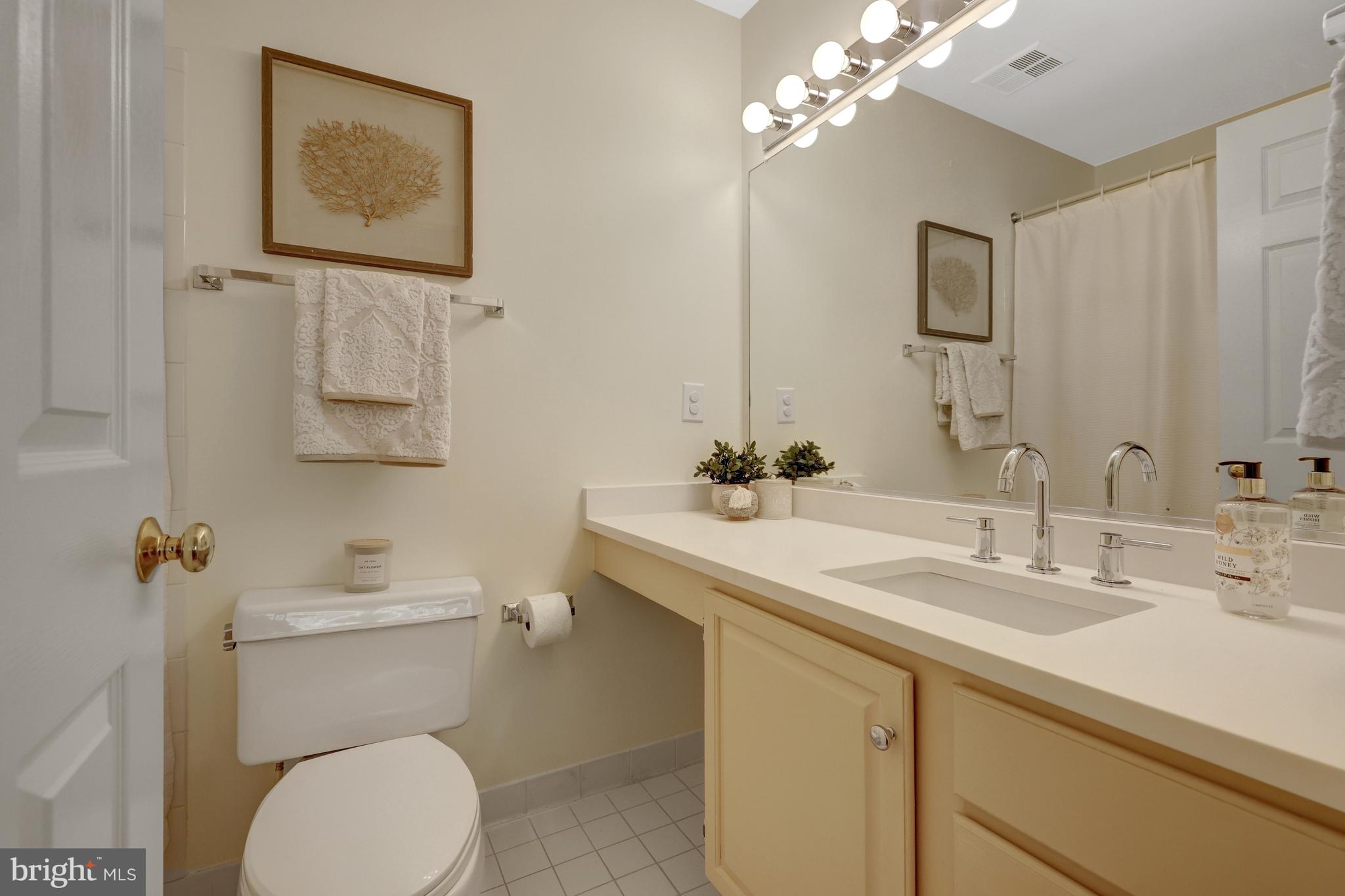 11431 Hollow Timber Way Reston, VA 20194 - Photo 36 of 53 ENSUITE BATH