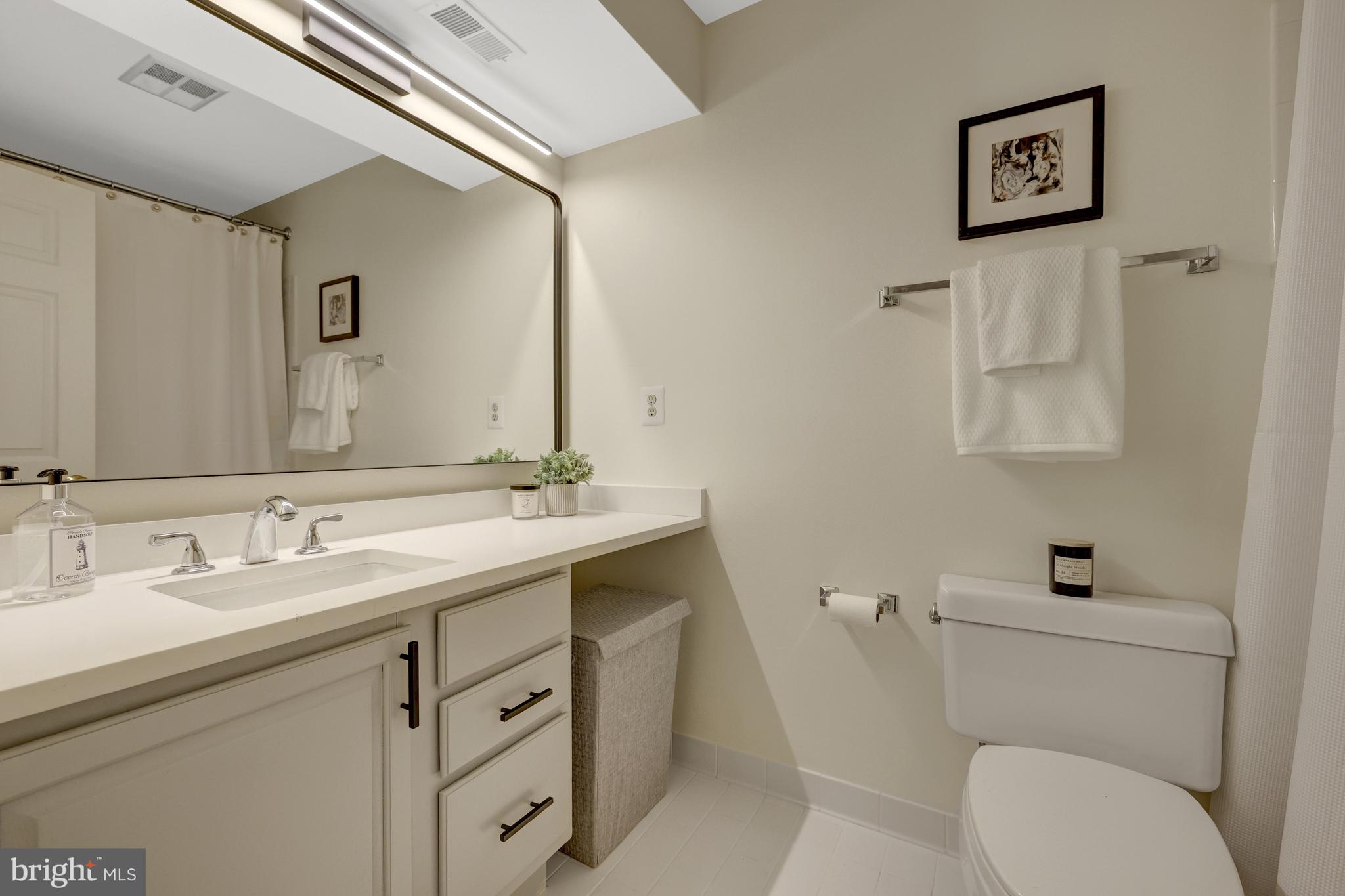 11431 Hollow Timber Way Reston, VA 20194 - Photo 44 of 53 FULL BATH LOWER LEVEL
