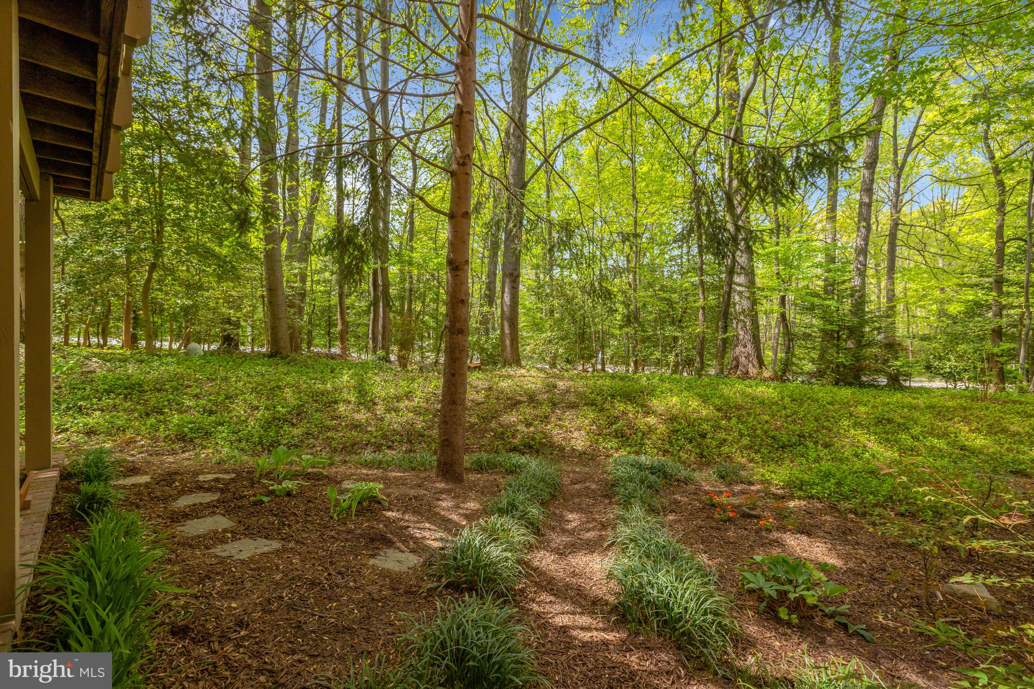11431 Hollow Timber Way Reston, VA 20194 - Photo 50 of 53 VIEW FROM PATIO
