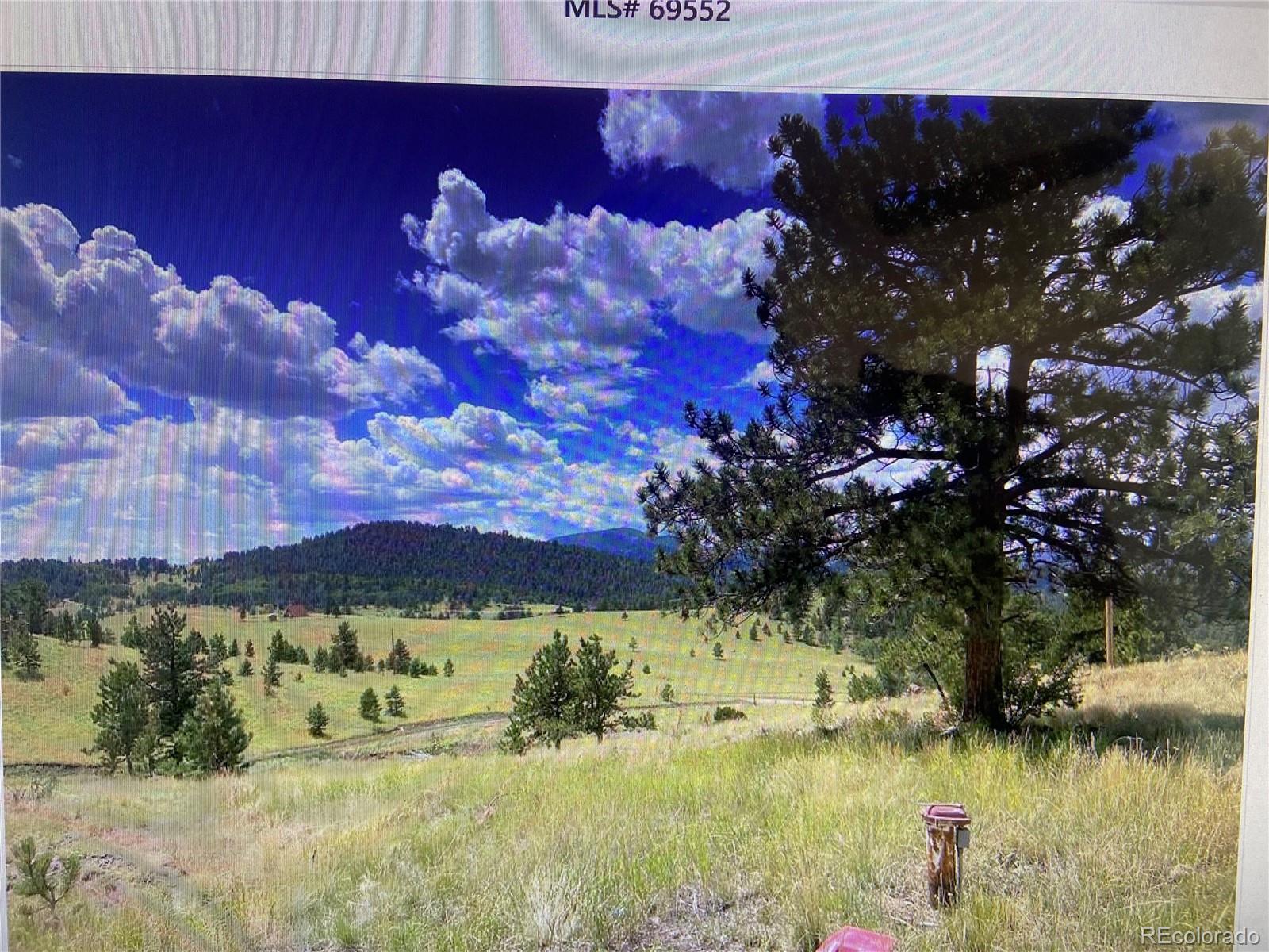 2302 Julia Road Guffey, CO 80820 - Photo 3 of 12 a view of a lake in between two of trees