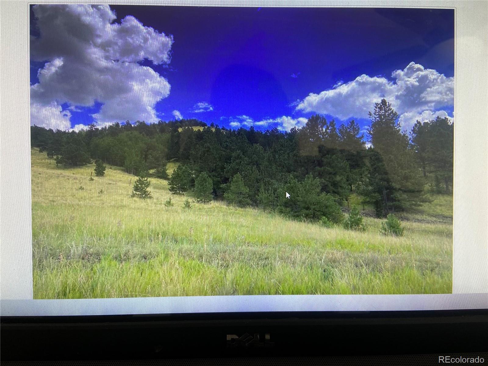 2302 Julia Road Guffey, CO 80820 - Photo 4 of 12 a view of a yard