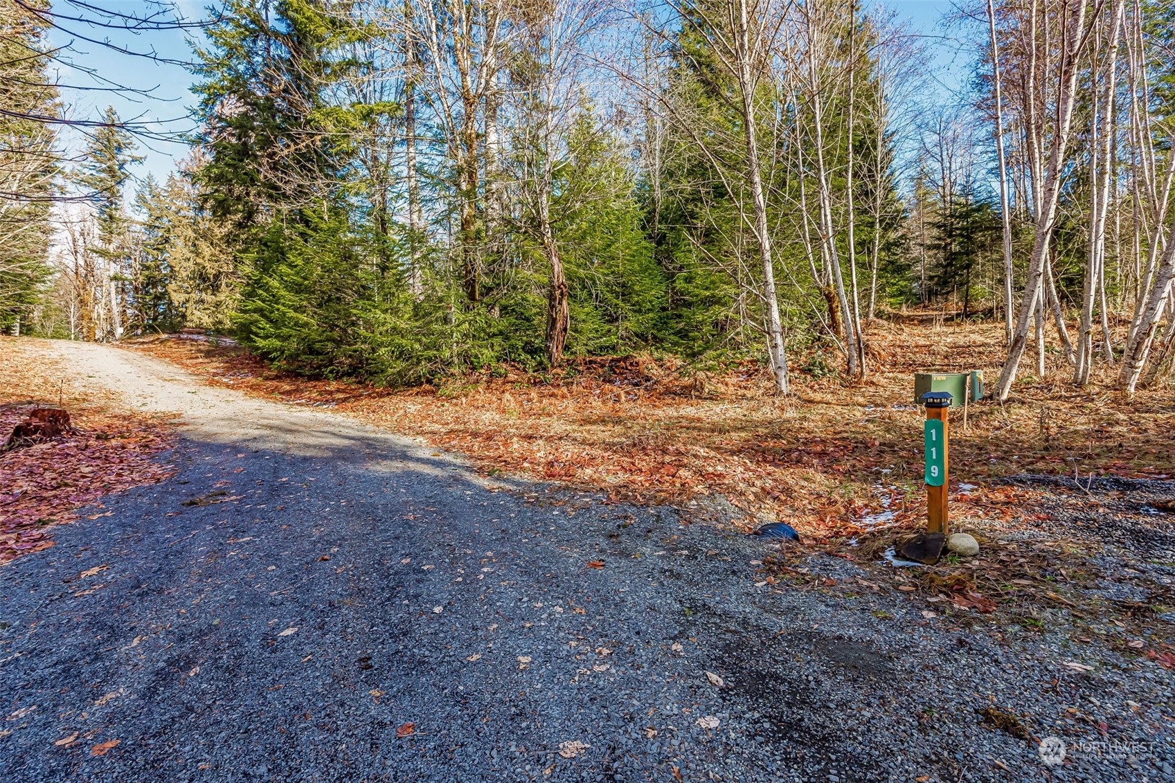 119 Marmot Loop Packwood, WA 98361 - Photo 2 of 40 a backyard of a house with lots of green space