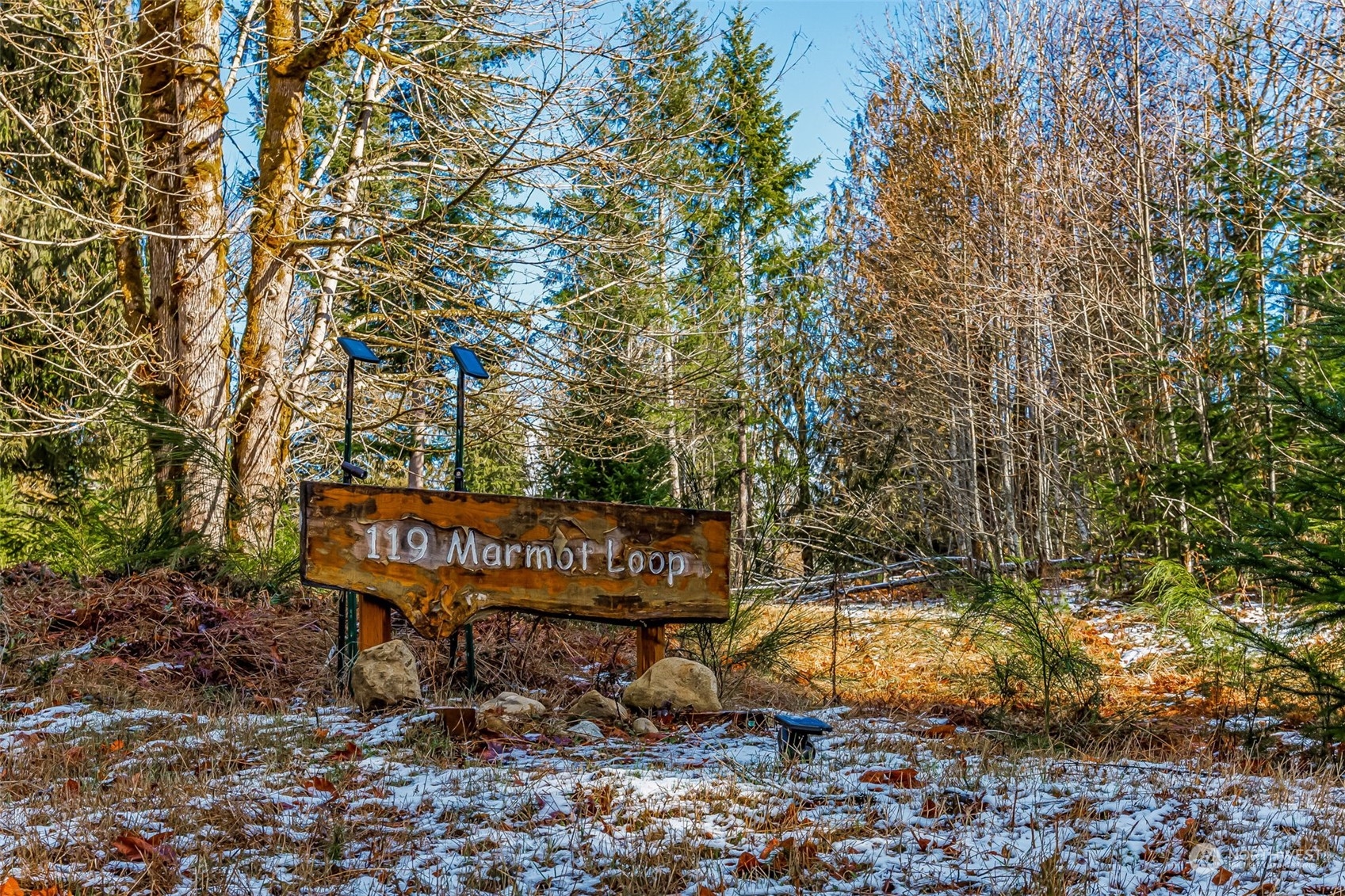 119 Marmot Loop Packwood, WA 98361 - Photo 3 of 40 a view of a bench in a backyard