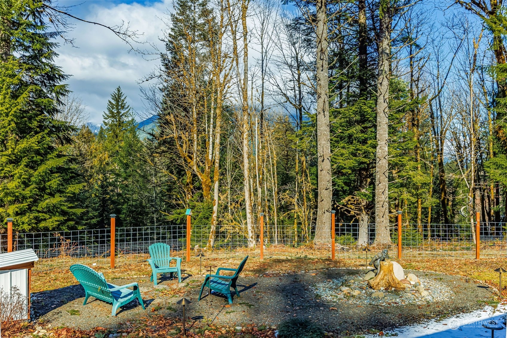 119 Marmot Loop Packwood, WA 98361 - Photo 31 of 40 a backyard of a house with barbeque oven table and chairs