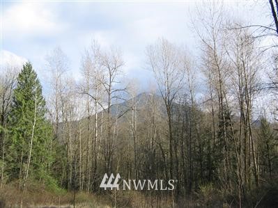 -xxxx South Lyman Ferry Road Sedro-Woolley, WA 98284 - Photo 1 of 1 a view of a yard