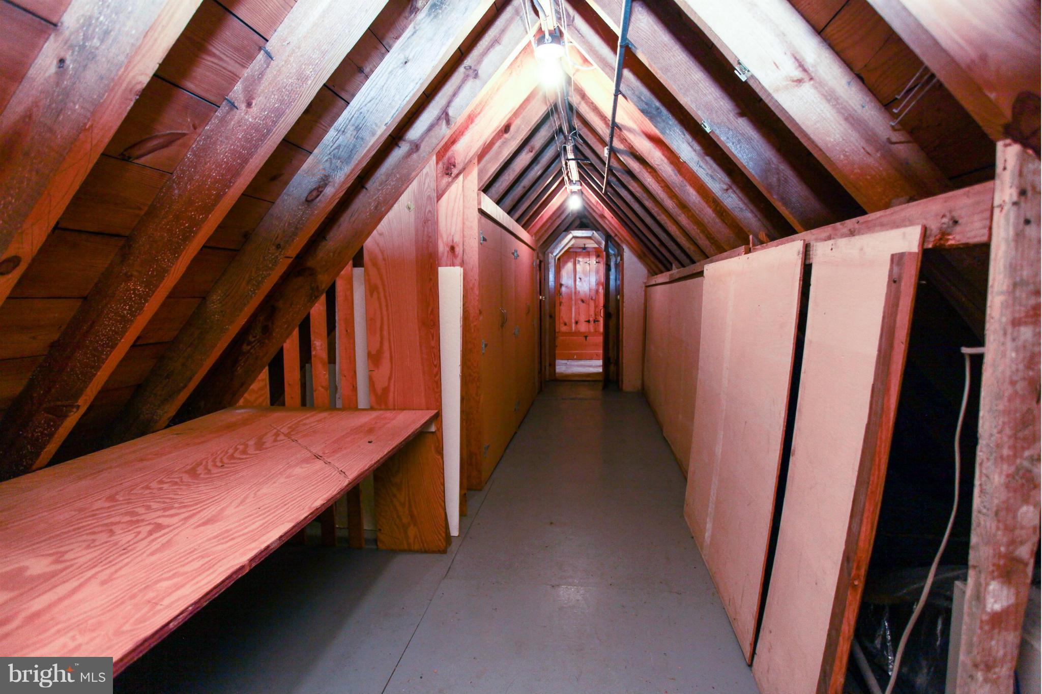 1707 Frederick Road Catonsville, MD 21228 - Photo 23 of 30 Attic with tons of storage