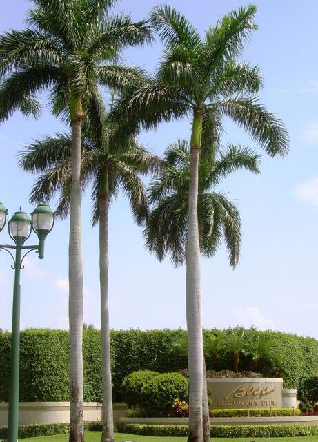 17061 Emile Street, Unit 8 Boca Raton, FL 33487 - Photo 24 of 31 BCC - entrance sign