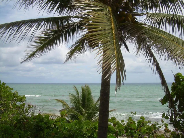 $3,500 | 17061 Emile Street, Unit 8, Boca Raton, FL 33487