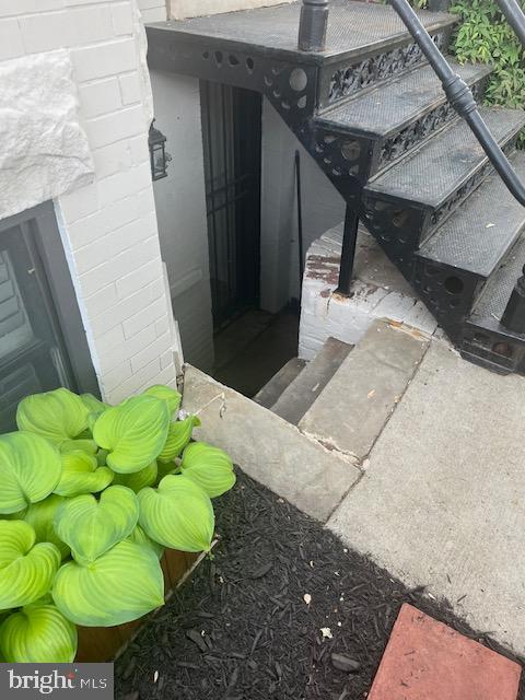 547 4th Street Southeast Washington, DC 20003 - Photo 2 of 12 a view of banana tree