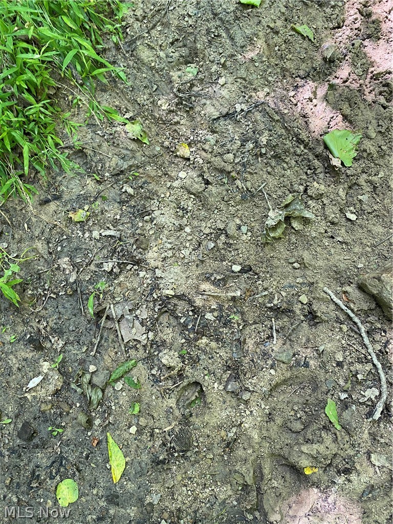 Ashton Hill Road Caldwell, OH 43724 - Photo 25 of 26