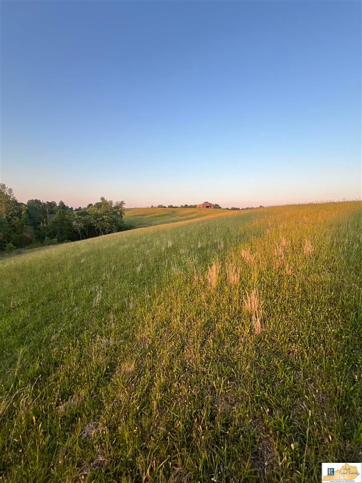 2417 Weed-Keltner Road Edmonton, KY 42129 - Photo 18 of 93 Gallery Image 18