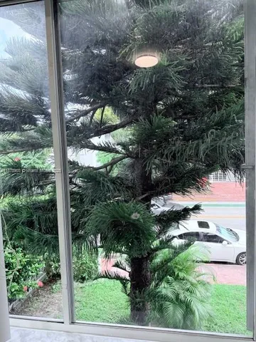 a view of a small yard