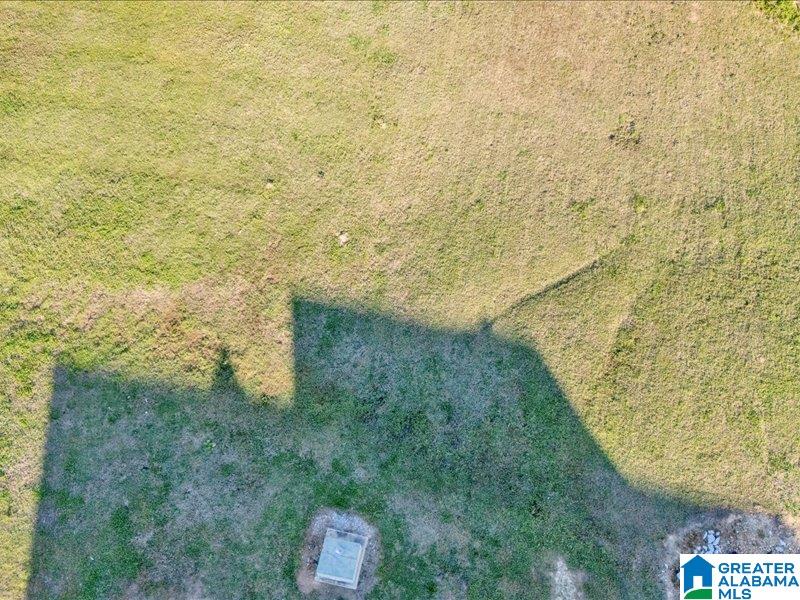 124 Perkins Landing Road, Unit 5 Columbiana, AL 35051 - Photo 44 of 49