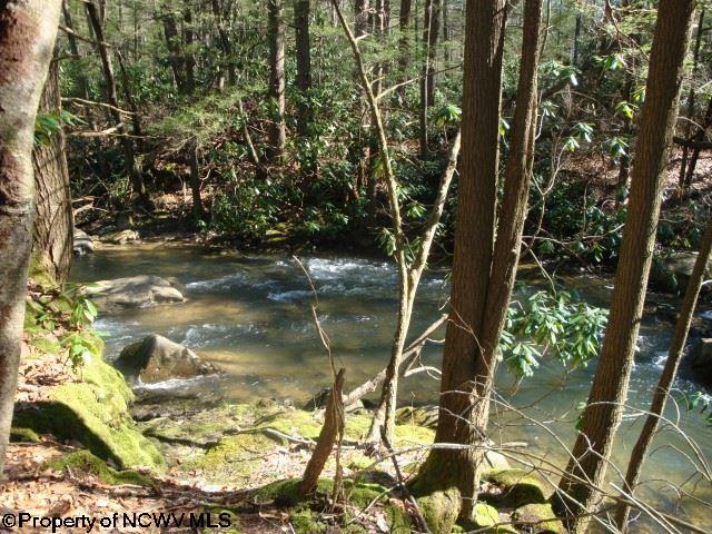 763 Guy Hardman Road Rock Cave, WV 26234 - Photo 19 of 20 Gallery Image 19