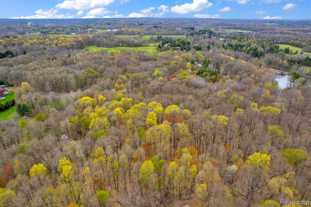 0 Hagerman Road Leonard, MI 48367 - Photo 11 of 13
