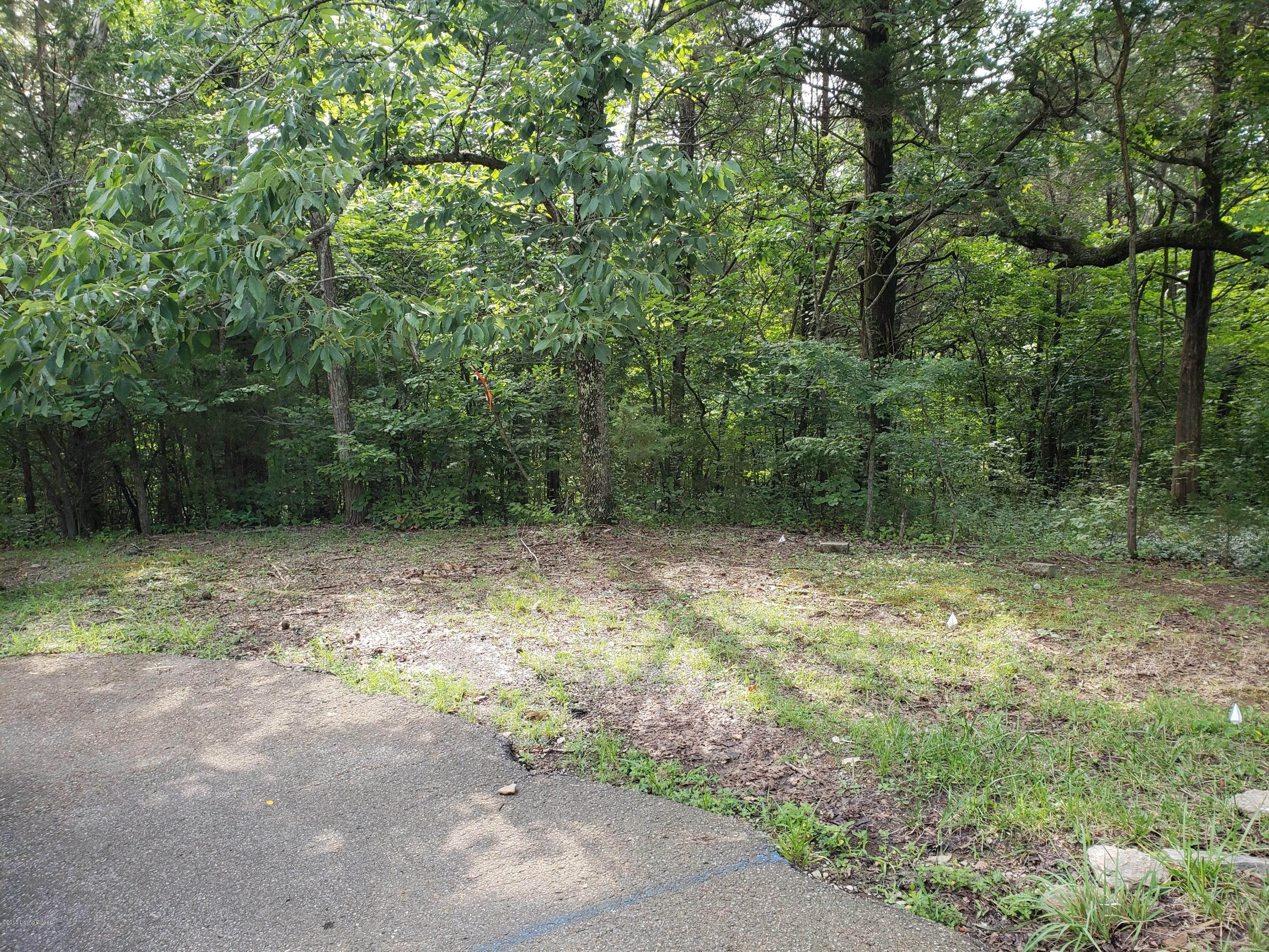 Lot #25 Red Wing Road Brandenburg, KY 40108 - Photo 4 of 12 20180801_093954