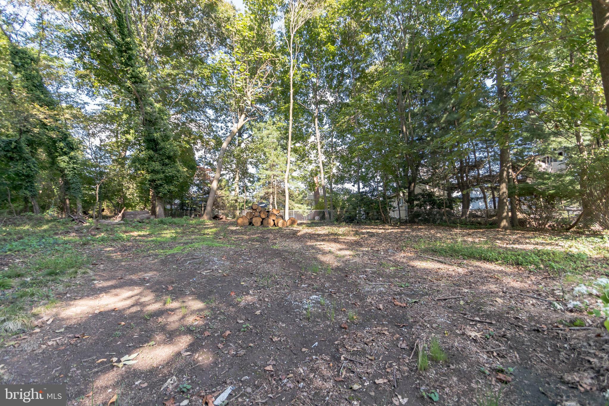 1217 Providence Road Springfield, PA 19064 - Photo 41 of 41 a view of outdoor space with trees