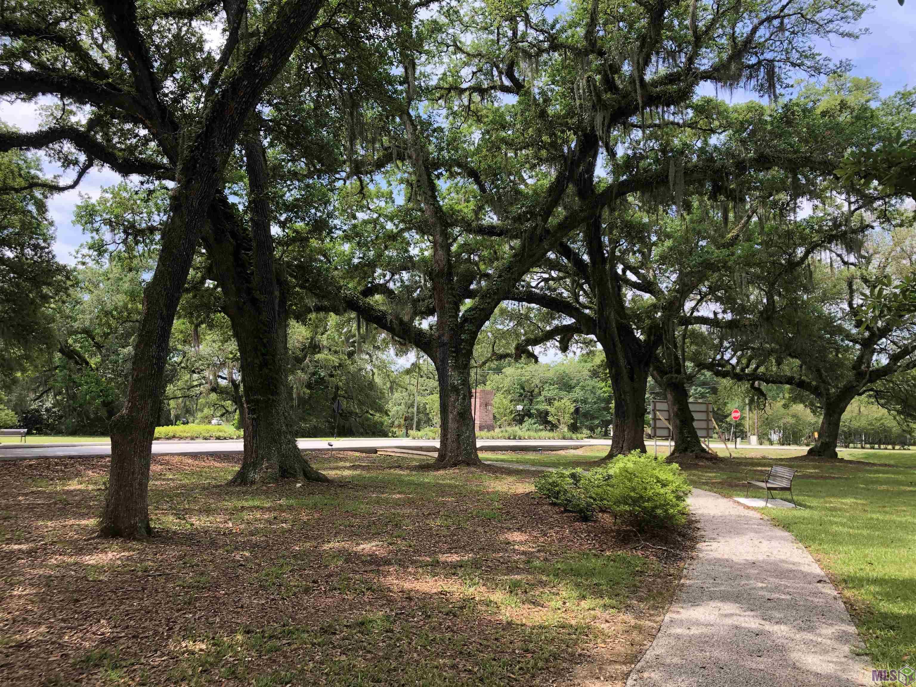 13545 Pointe Au Chene Drive Baton Rouge, LA 70818 - Photo 4 of 5