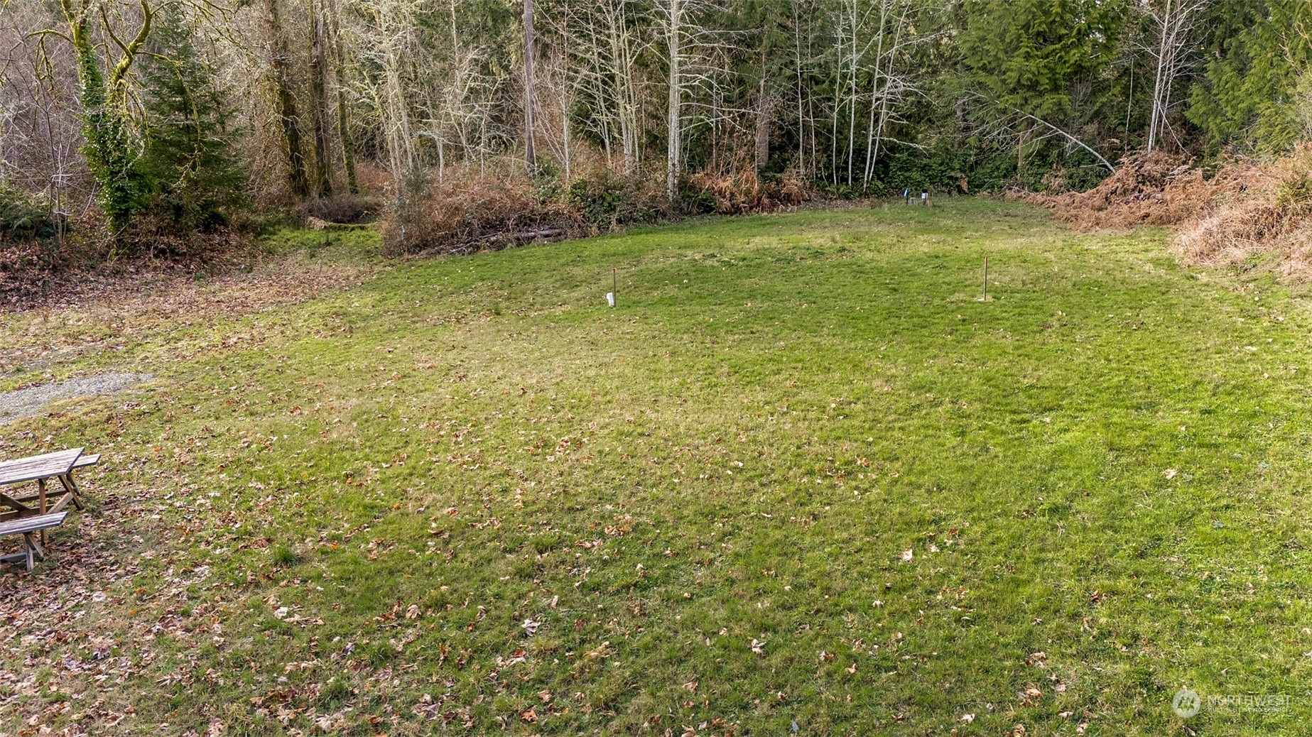 6818 Yeazell Road Southwest Longbranch, WA 98351 - Photo 2 of 16 a view of a yard with large trees